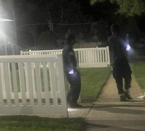 F0B3EA46-7A42-4138-9A19-03DE643E5B7C